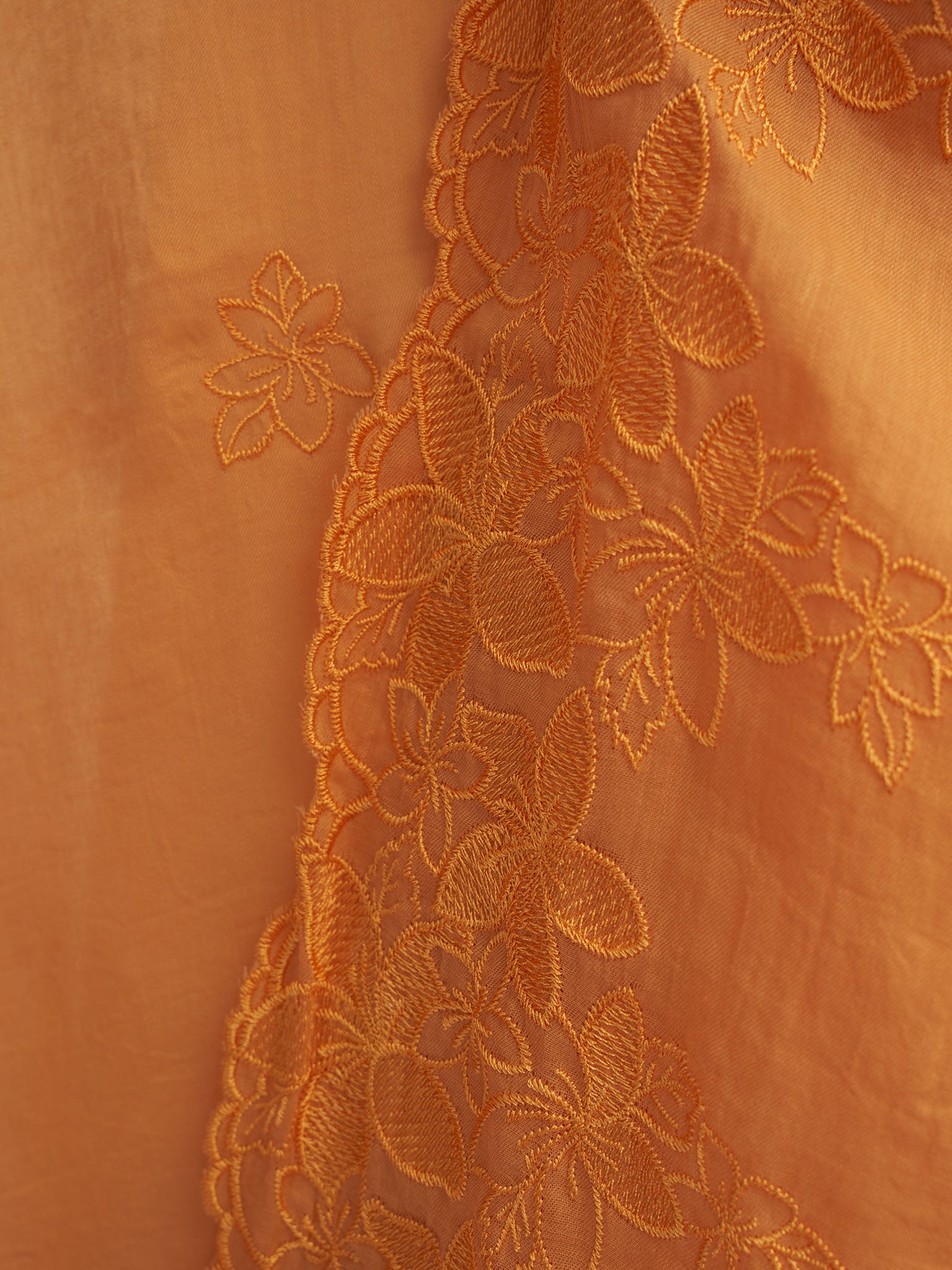 Apricot
