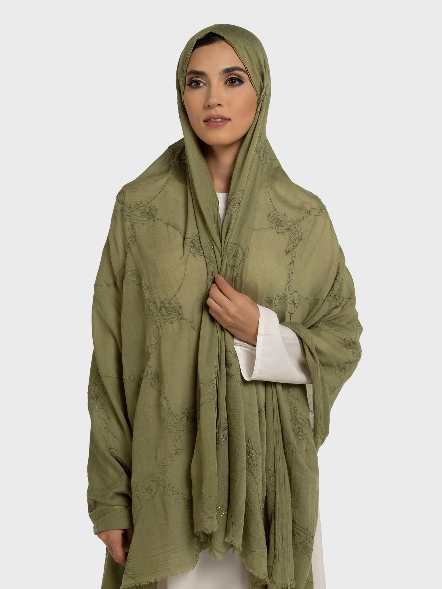 Olive 2